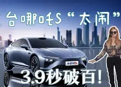 雷竞技网址 -骏马百度百科